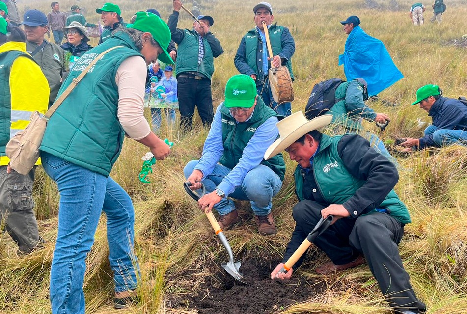 Nueva campaña de reforestación