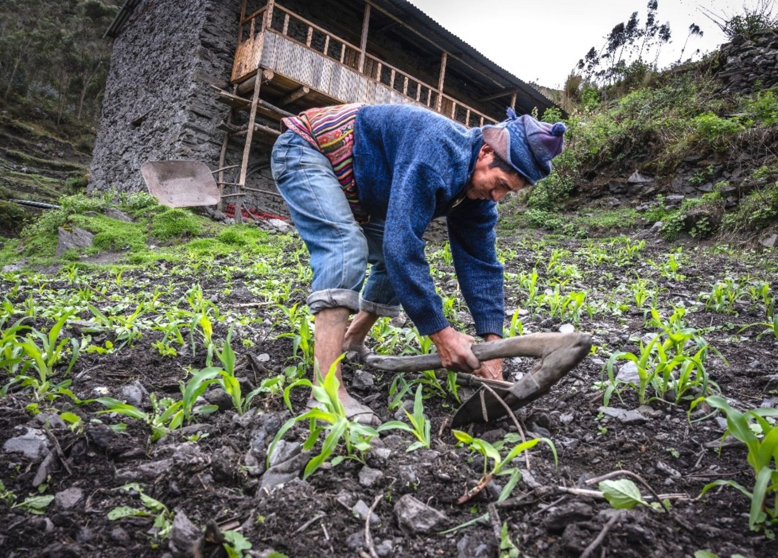 Política ambiental