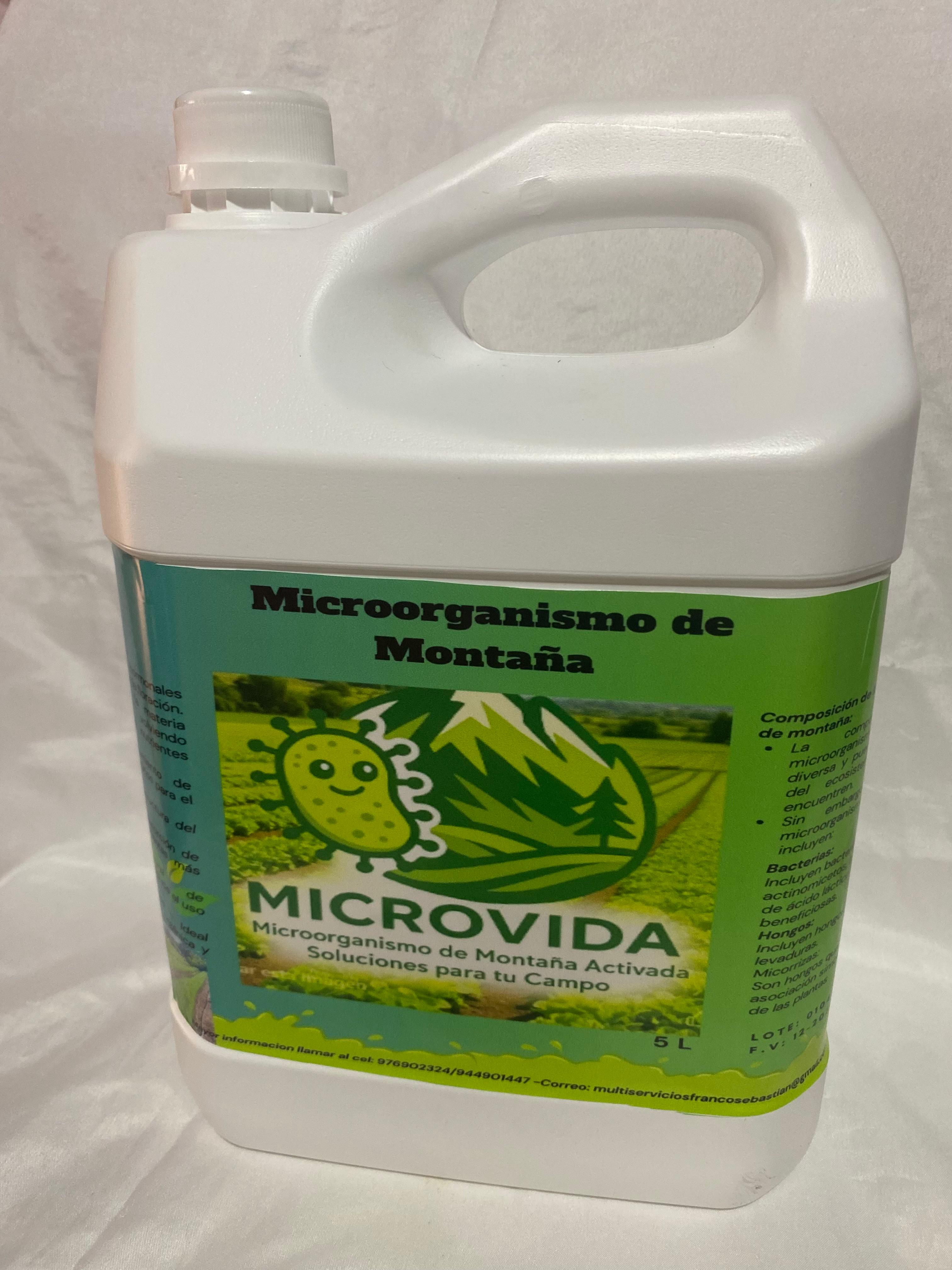 Microorganismos de montaña